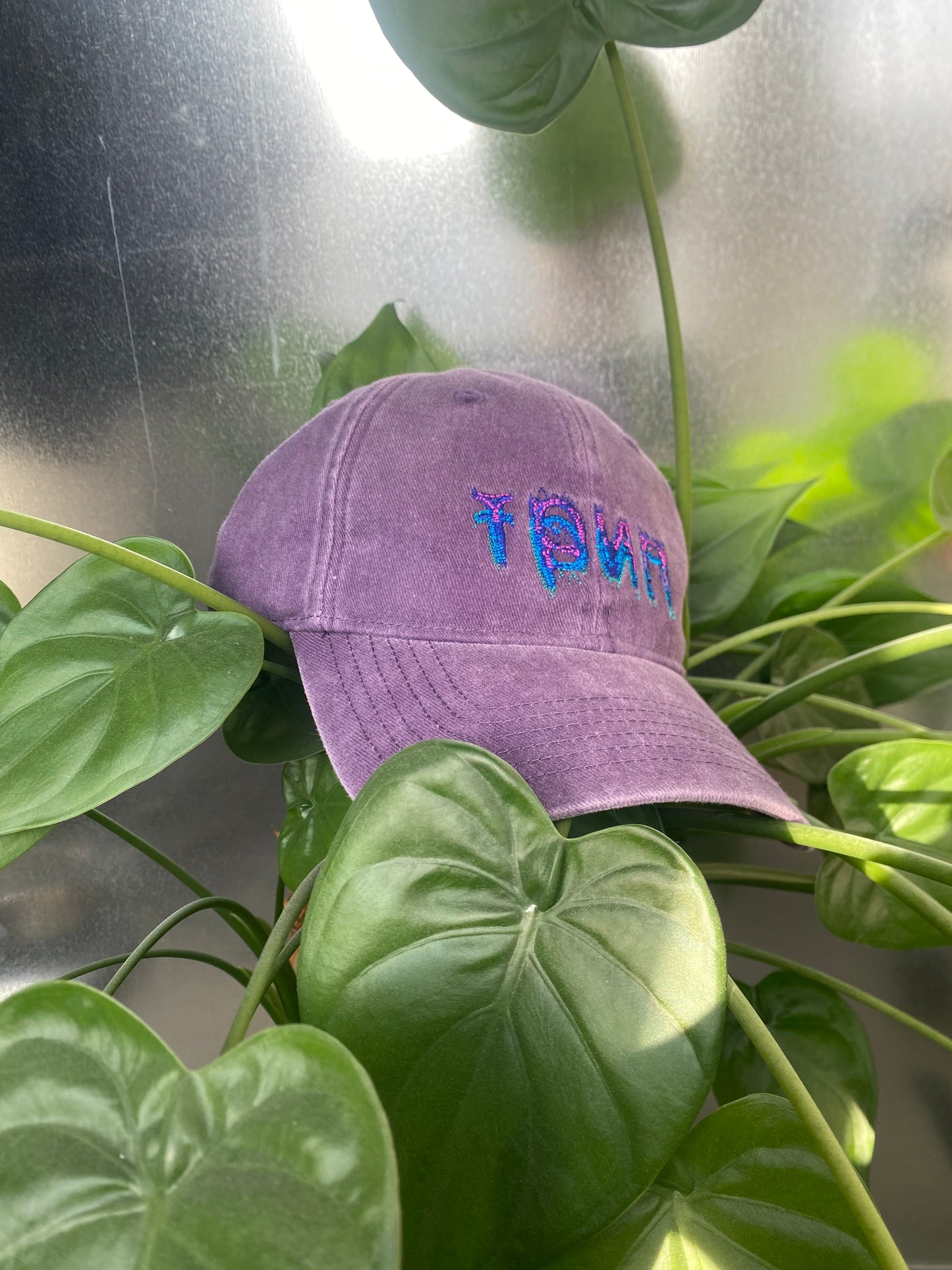 трип embroidered logo dad cap