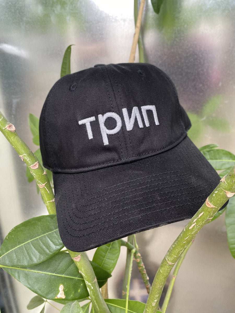 трип reflective logo dad cap