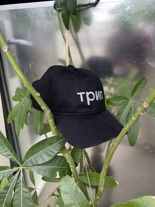 трип reflective logo dad cap